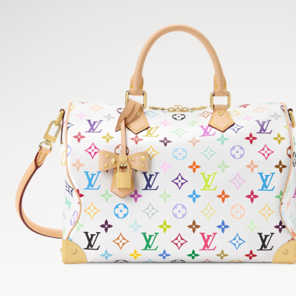LV x TM SPEEDY SOFT 30 handbag